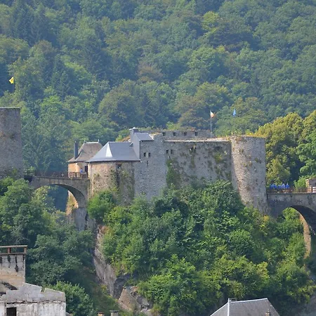 Solvay Bouillon